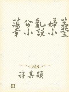 荡公乱妇第51章小说小莹