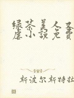 绿茶美人又在求虐小说免费阅读笔趣阁封面