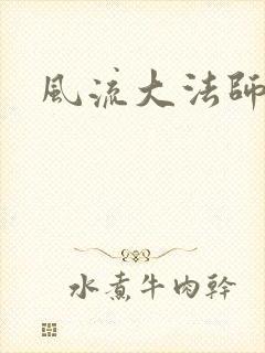 风流大法师