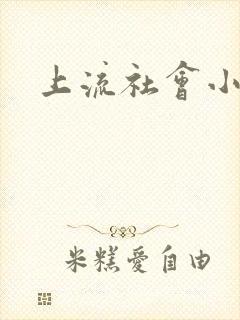 上流社会小说封面