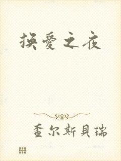 换爱之夜