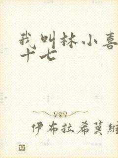 我叫林小喜今年十七