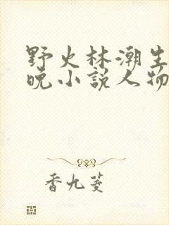 野火林潮生林晚晚小说人物野火