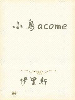 小鸟acome封面