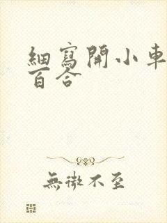 细写开小车车的百合