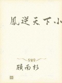 凤逆天下小说