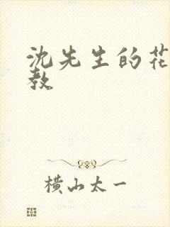 沈先生的花式调教封面