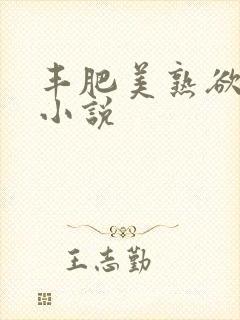 丰肥美熟欲妇乱小说封面