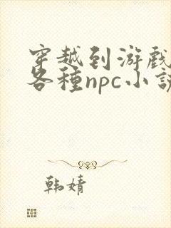 穿越到游戏里和各种npc小说