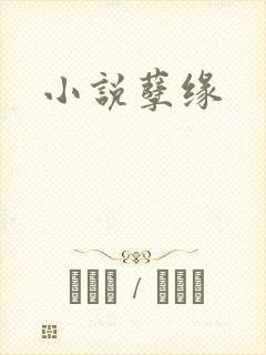 小说孽缘