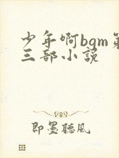 少年啊bgm第三部小说封面