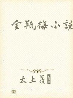 金瓶梅小说