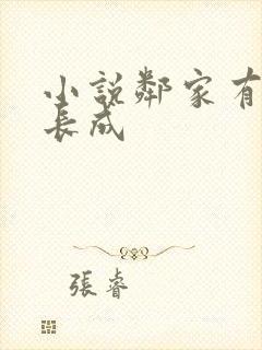 小说邻家有女初长成封面