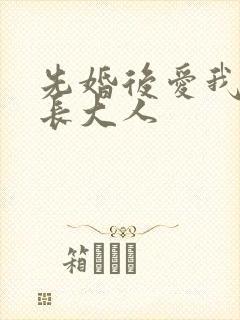 先婚后爱我的市长大人封面