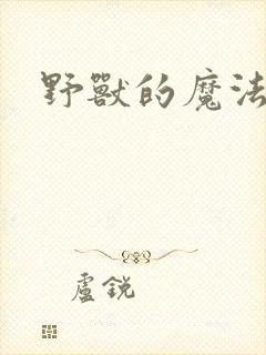 野兽的魔法师封面