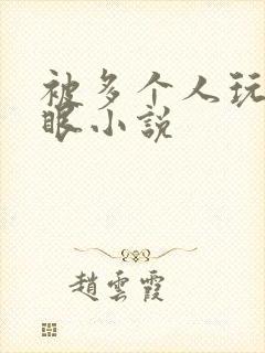 被多个人玩屁股眼小说封面