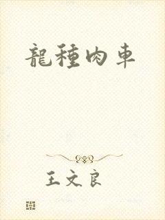 龙种肉车封面