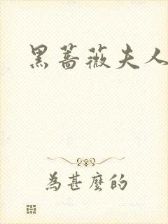 黑蔷薇夫人封面