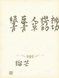 绿巨人樱桃荔枝青青草的功效封面