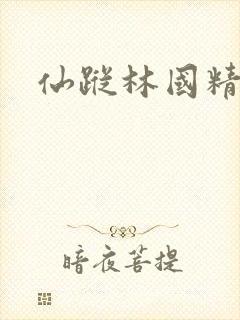 仙踪林国精产品