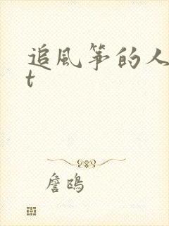 追风筝的人txt封面
