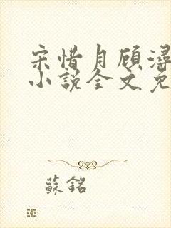 宋惜月顾浔渊的小说全文免费阅读