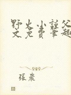 野火小说父女全文免费笔趣阁