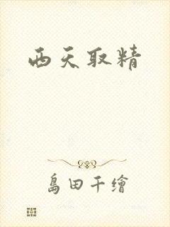 西天取精封面