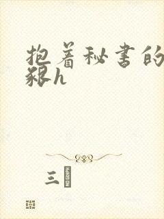 抱着秘书的大乳啃h封面
