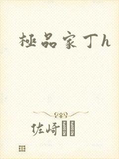 极品家丁h