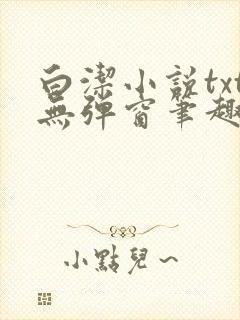 白洁小说txt无弹窗笔趣阁