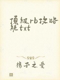 顶级rb攻略系统txt