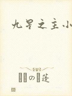 九星之主小说