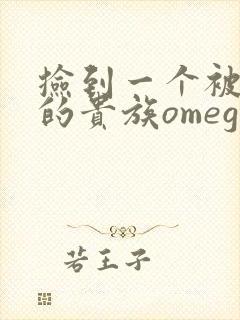 捡到一个被抹布的贵族omega封面