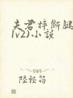 夫君摔断腿后(1v2)小说