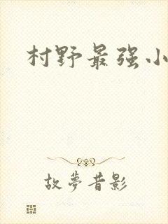 村野最强小农民