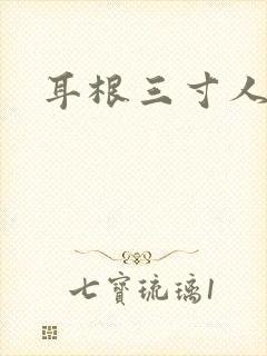 耳根三寸人间封面