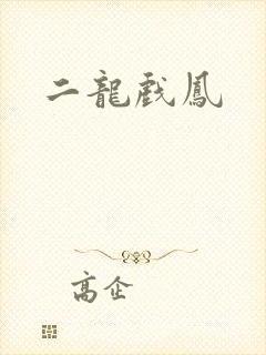 二龙戏凤