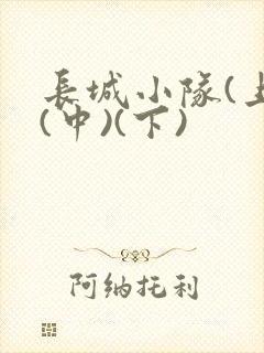 长城小队(上)(中)(下)封面