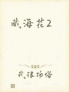 藏海花2封面