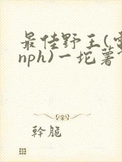 最佳野王(电竞nph)一坨薯饼