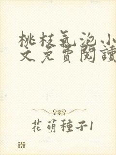 桃枝气泡小说全文免费阅读封面