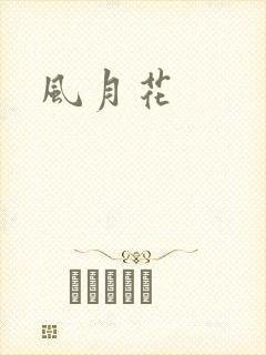 风月花封面