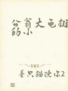 公翁大龟挺进我的小封面