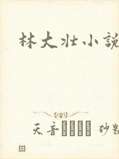 林大壮小说阅读