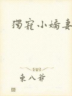 独宠小娇妻