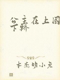 公主在上国师请下轿