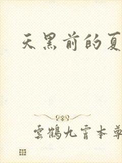 天黑前的夏天