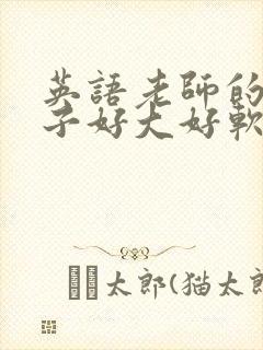 英语老师的小兔子好大好软水