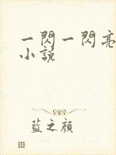 一闪一闪亮星星小说封面